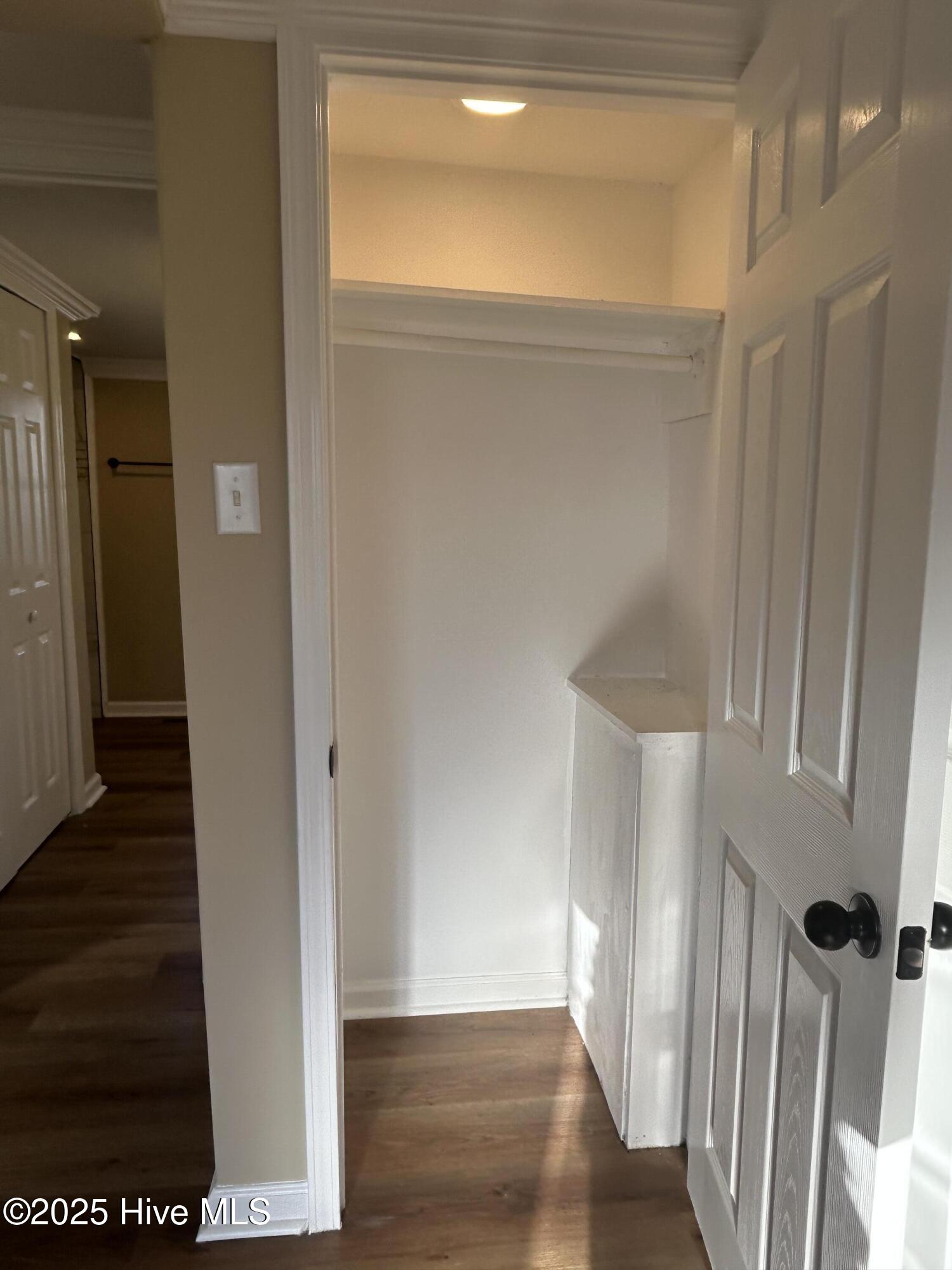 3292 Sargett Brown Road Deep Run, NC 28525 - Photo 10 of 60 Closet 1