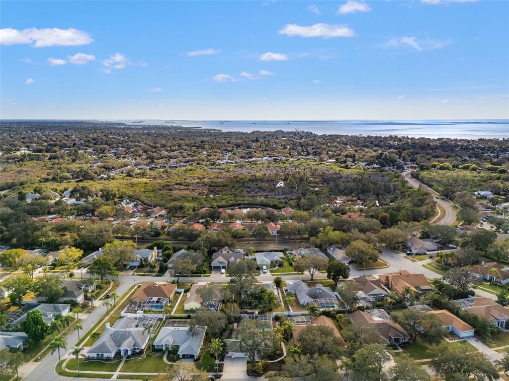 958 Ridgewood Terrace Tarpon Springs, FL 34689 - Photo 65 of 66