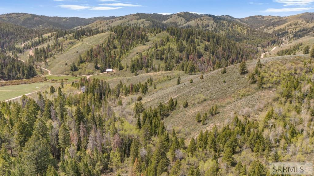 Tbd Sellers Creek Road Firth, ID 83236 - Photo 20 of 32 Gallery Image 20