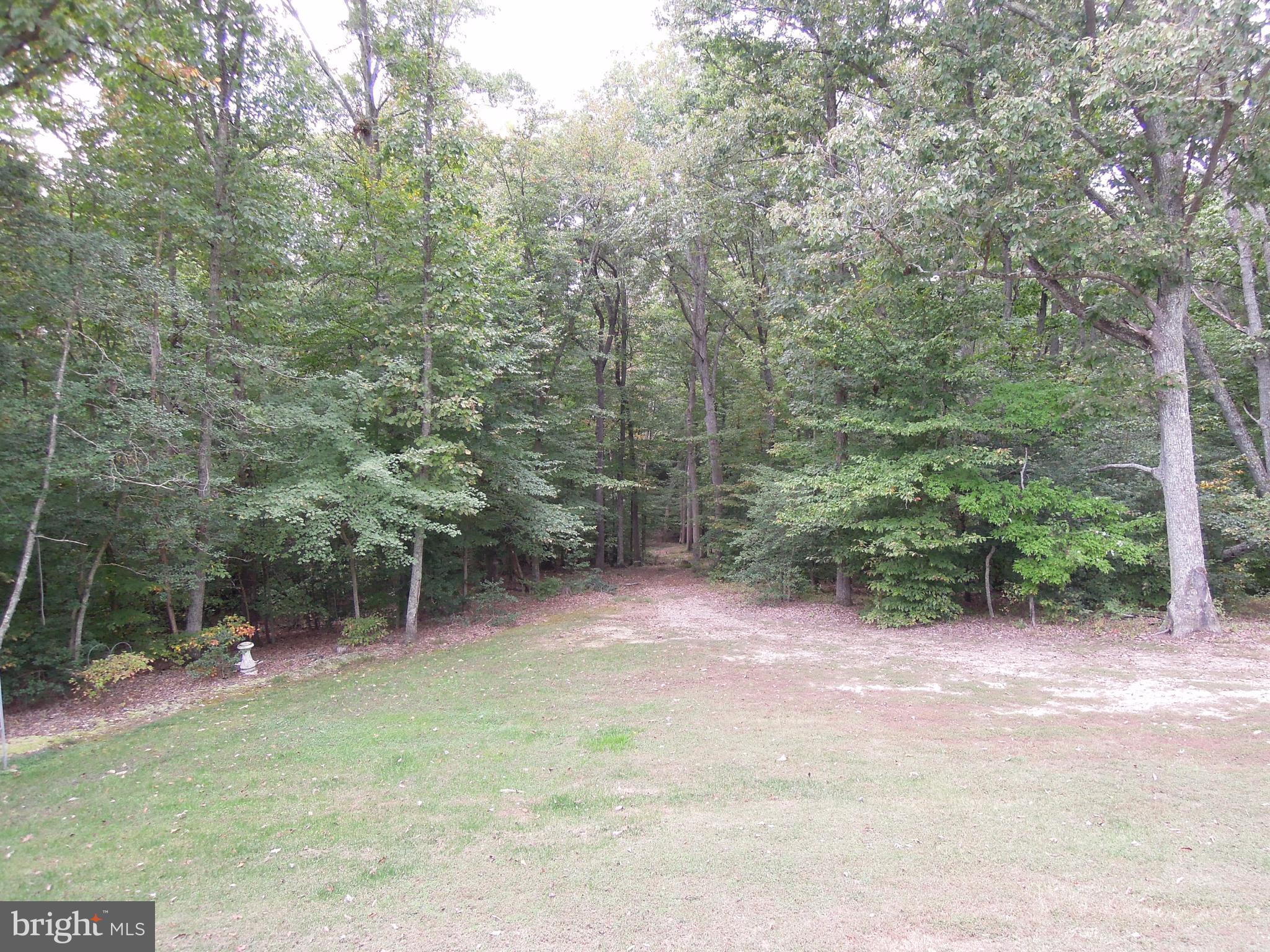 472 McCarty Road Fredericksburg, VA 22405 - Photo 15 of 30 View of property from rear deck