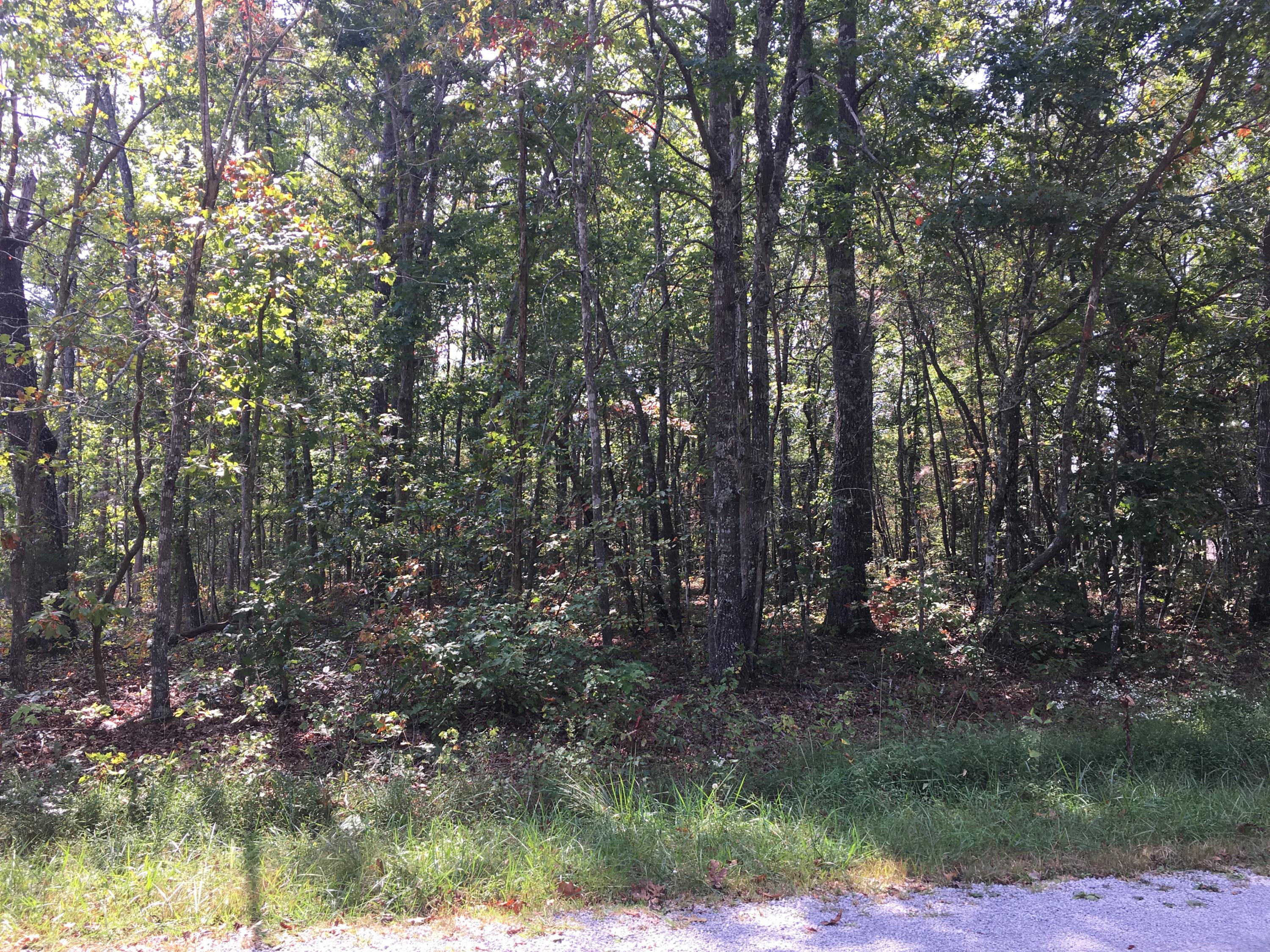 4030 Sioux Road Crossville, TN 38572 - Photo 1 of 1 IMG_0005