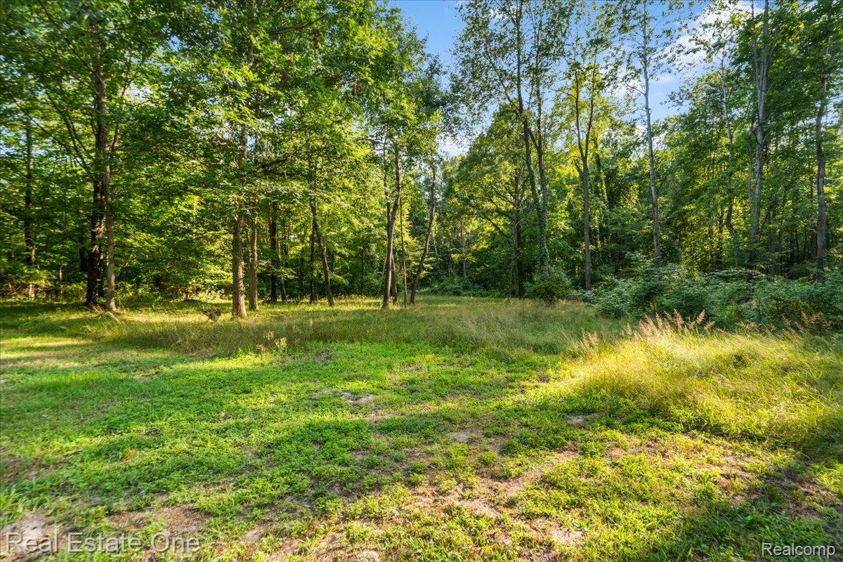 5750 Chambers Road Mayville, MI 48744 - Photo 29 of 34 36-5750 Chambers Rd_35.jpg