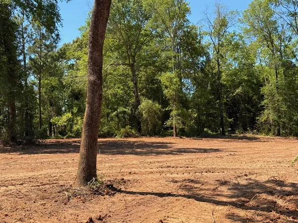 a view of a yard with trees