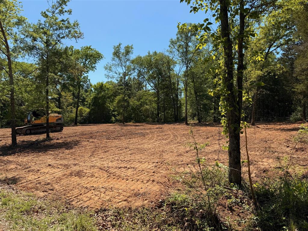 159 Vista Drive Eustace, TX 75124 - Photo 2 of 4 a view of a yard with a tree