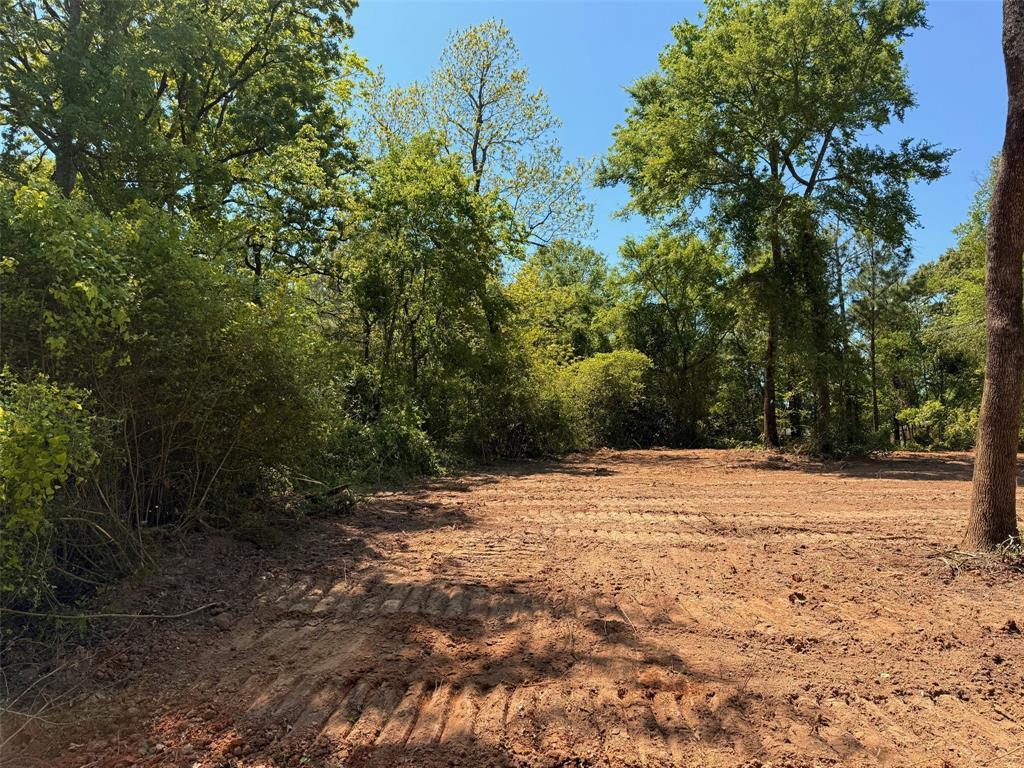 159 Vista Drive Eustace, TX 75124 - Photo 3 of 4 a pathway of a yard