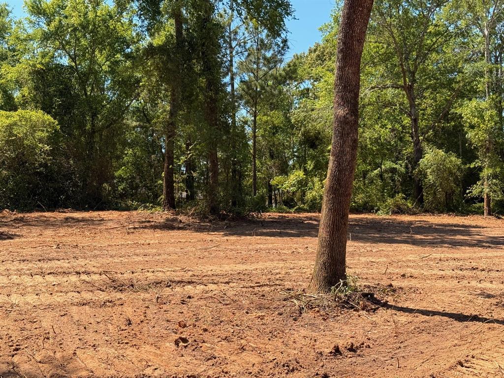 159 Vista Drive Eustace, TX 75124 - Photo 4 of 4 a view of a yard with trees