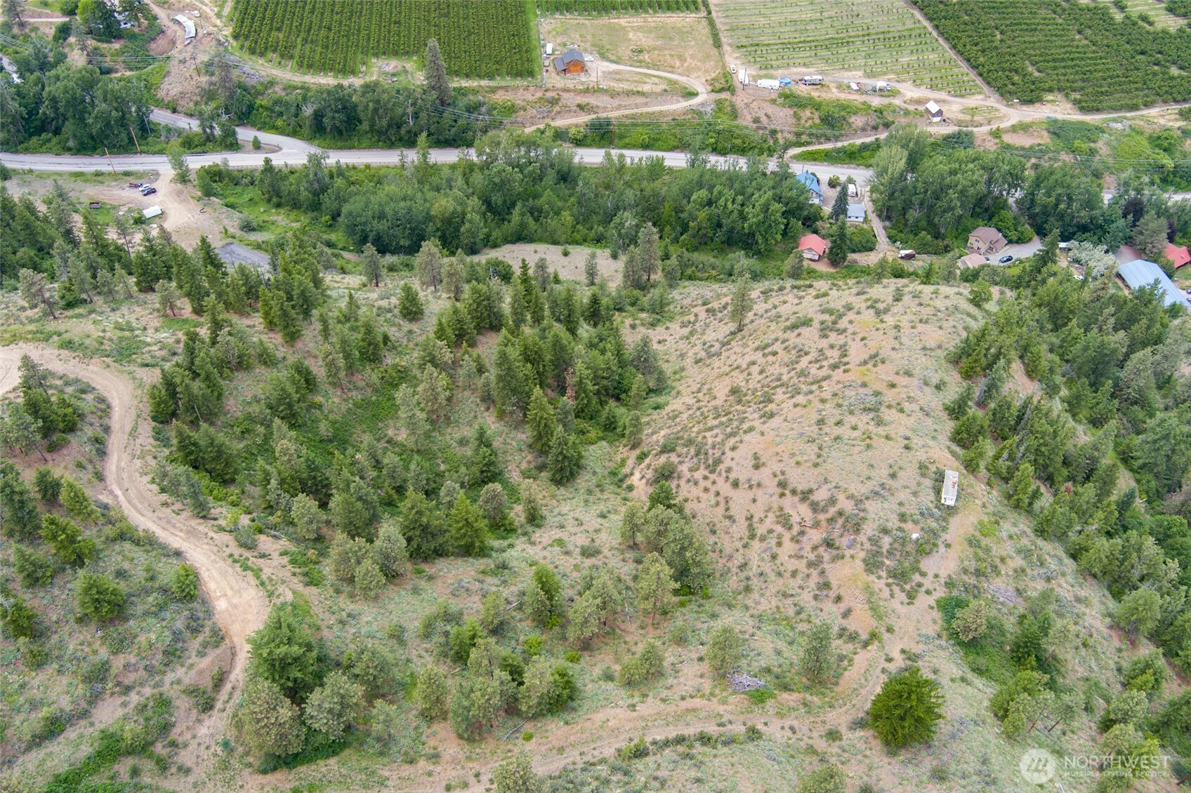35 Watchman Lane Wenatchee, WA 98801 - Photo 13 of 36 a view of a yard with plants and large tree