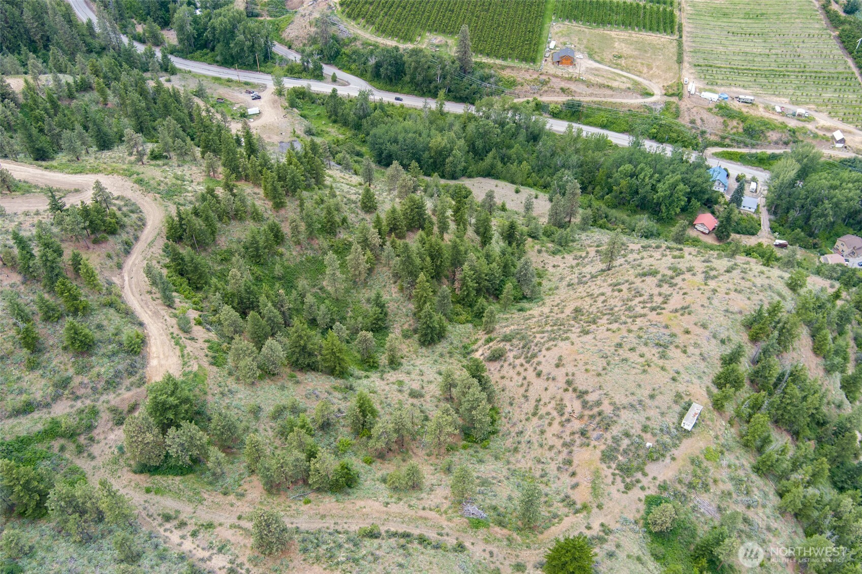 35 Watchman Lane Wenatchee, WA 98801 - Photo 14 of 36 a view of a yard with plants and large tree