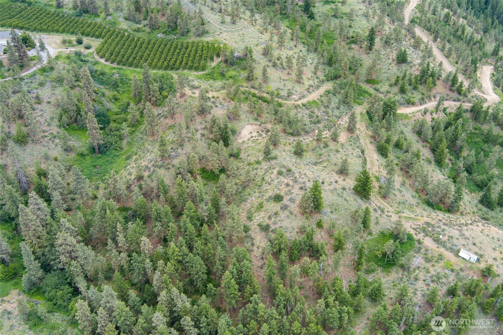 35 Watchman Lane Wenatchee, WA 98801 - Photo 16 of 36 a green field with lots of bushes