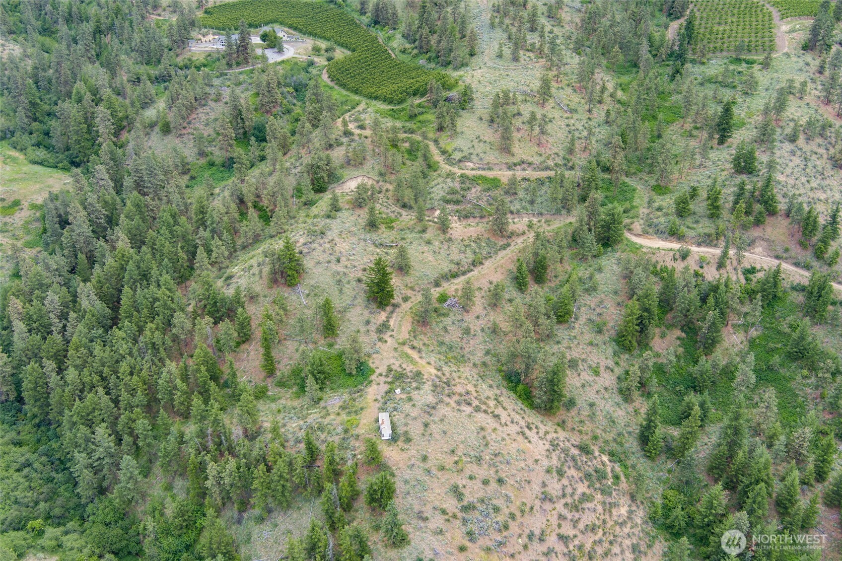 35 Watchman Lane Wenatchee, WA 98801 - Photo 17 of 36 a view of a forest that has a tree in the background