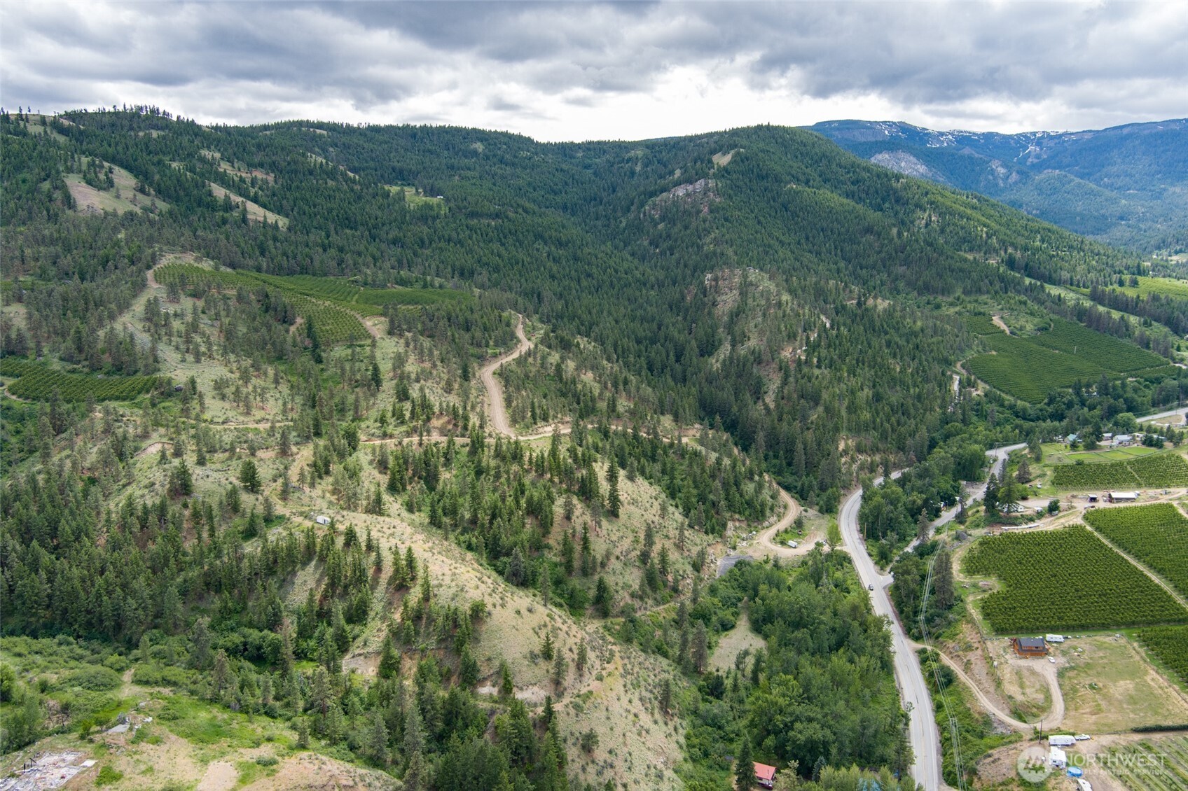 35 Watchman Lane Wenatchee, WA 98801 - Photo 18 of 36 a view of a lush green forest with lots of trees