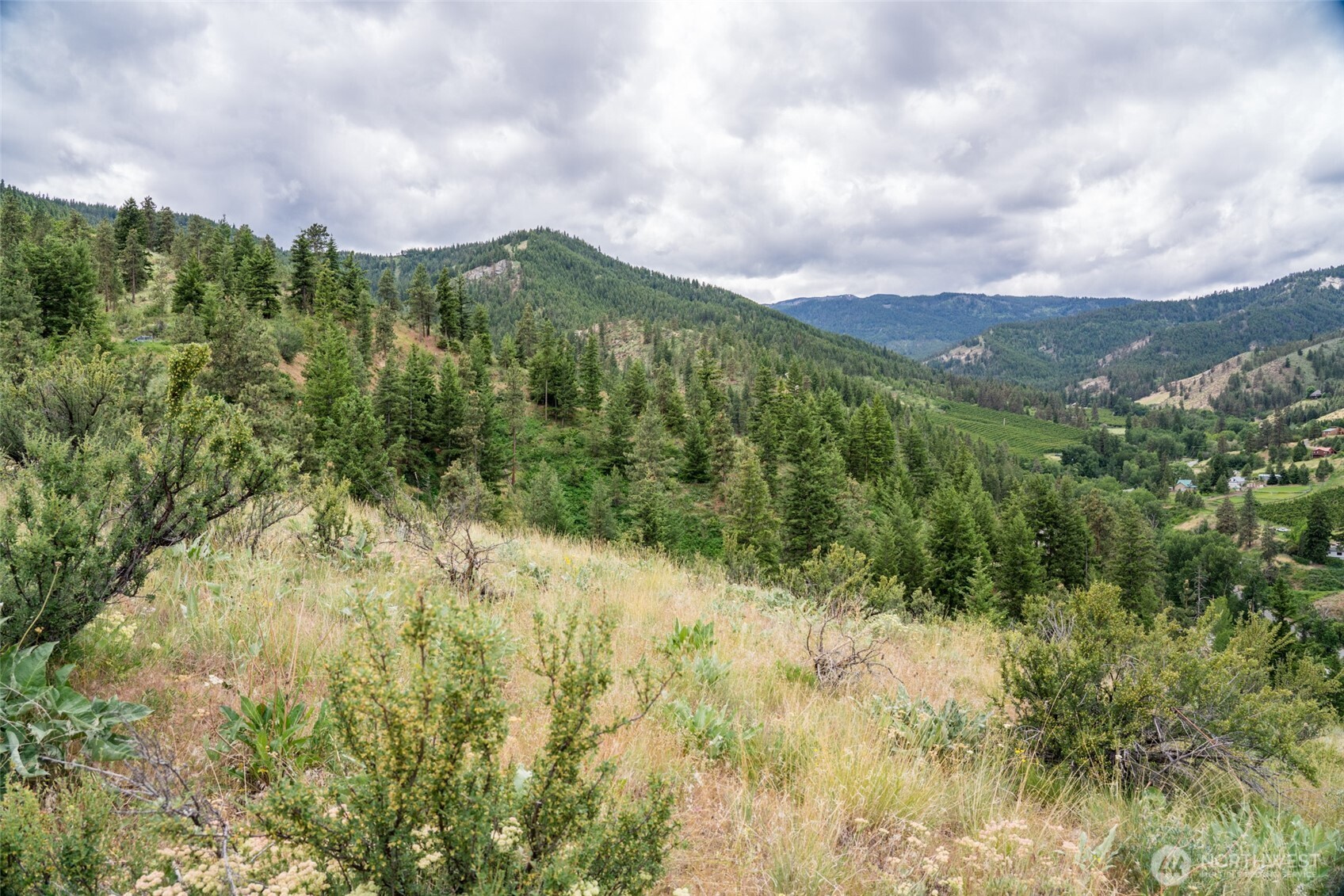 35 Watchman Lane Wenatchee, WA 98801 - Photo 30 of 36 a view of a green field with lots of bushes