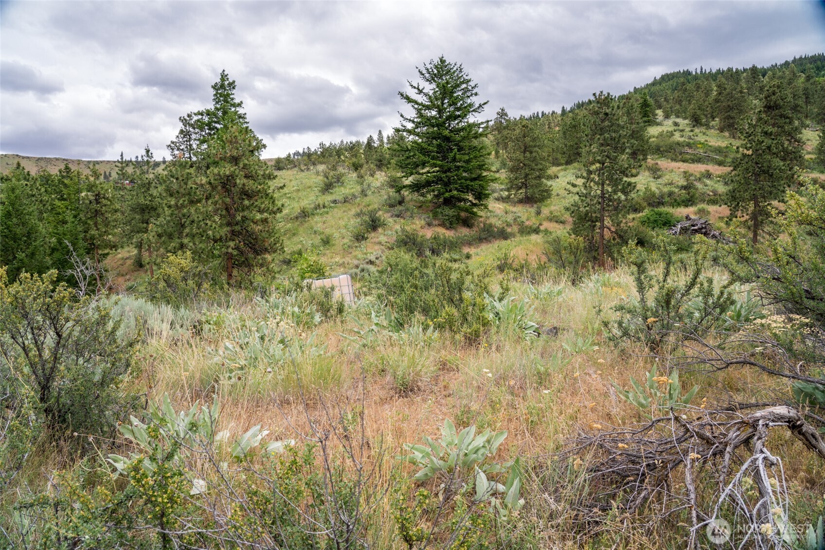35 Watchman Lane Wenatchee, WA 98801 - Photo 31 of 36 a view of a bunch of trees and bushes