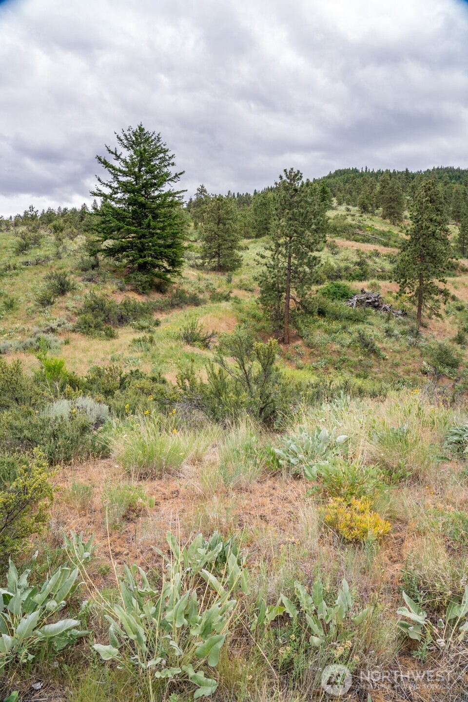 35 Watchman Lane Wenatchee, WA 98801 - Photo 32 of 36 a view of a city