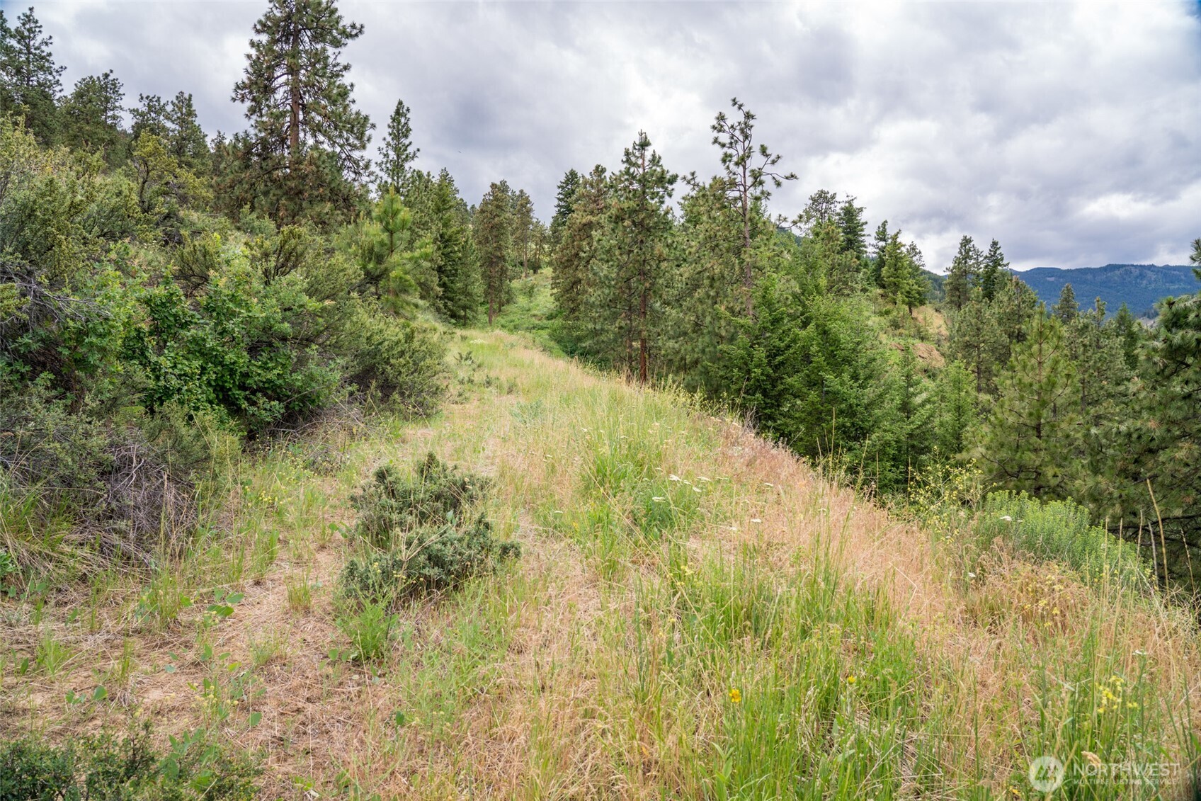 35 Watchman Lane Wenatchee, WA 98801 - Photo 36 of 36 a view of a yard with plants and a trees
