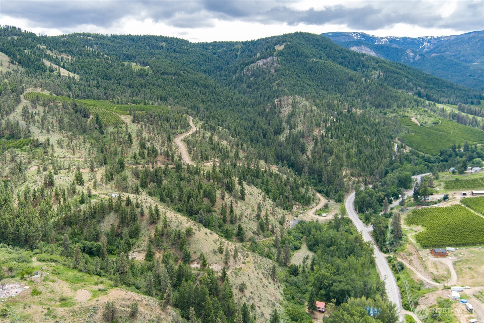 35 Watchman Lane Wenatchee, WA 98801 - Photo 6 of 36 a view of a lush green forest with mountains in the background
