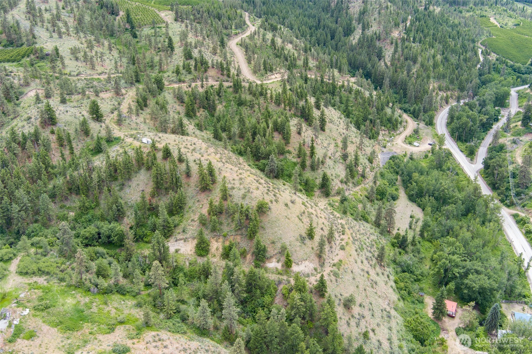 35 Watchman Lane Wenatchee, WA 98801 - Photo 7 of 36 a view of a forest with a tree