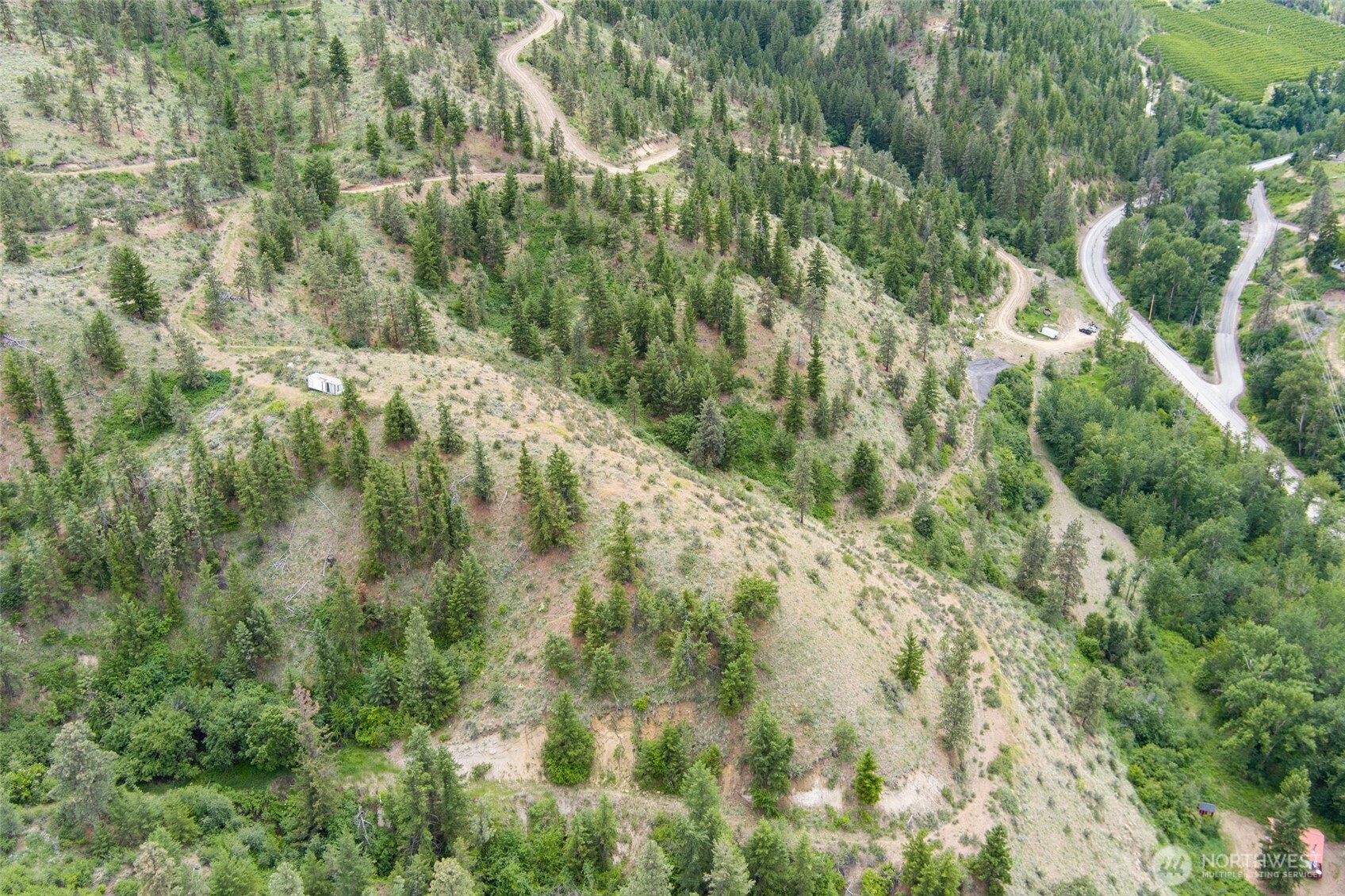 35 Watchman Lane Wenatchee, WA 98801 - Photo 8 of 36 a view of a forest with a tree