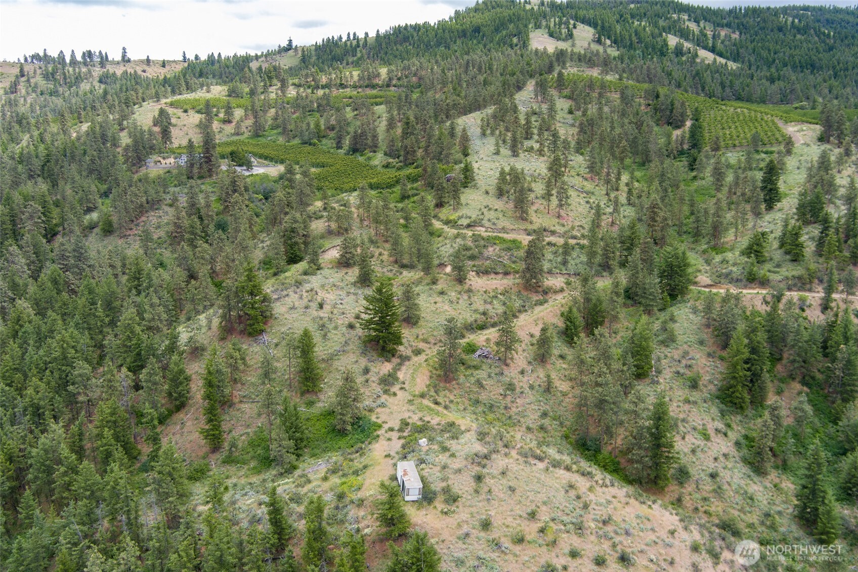 35 Watchman Lane Wenatchee, WA 98801 - Photo 9 of 36 a view of a forest with a street