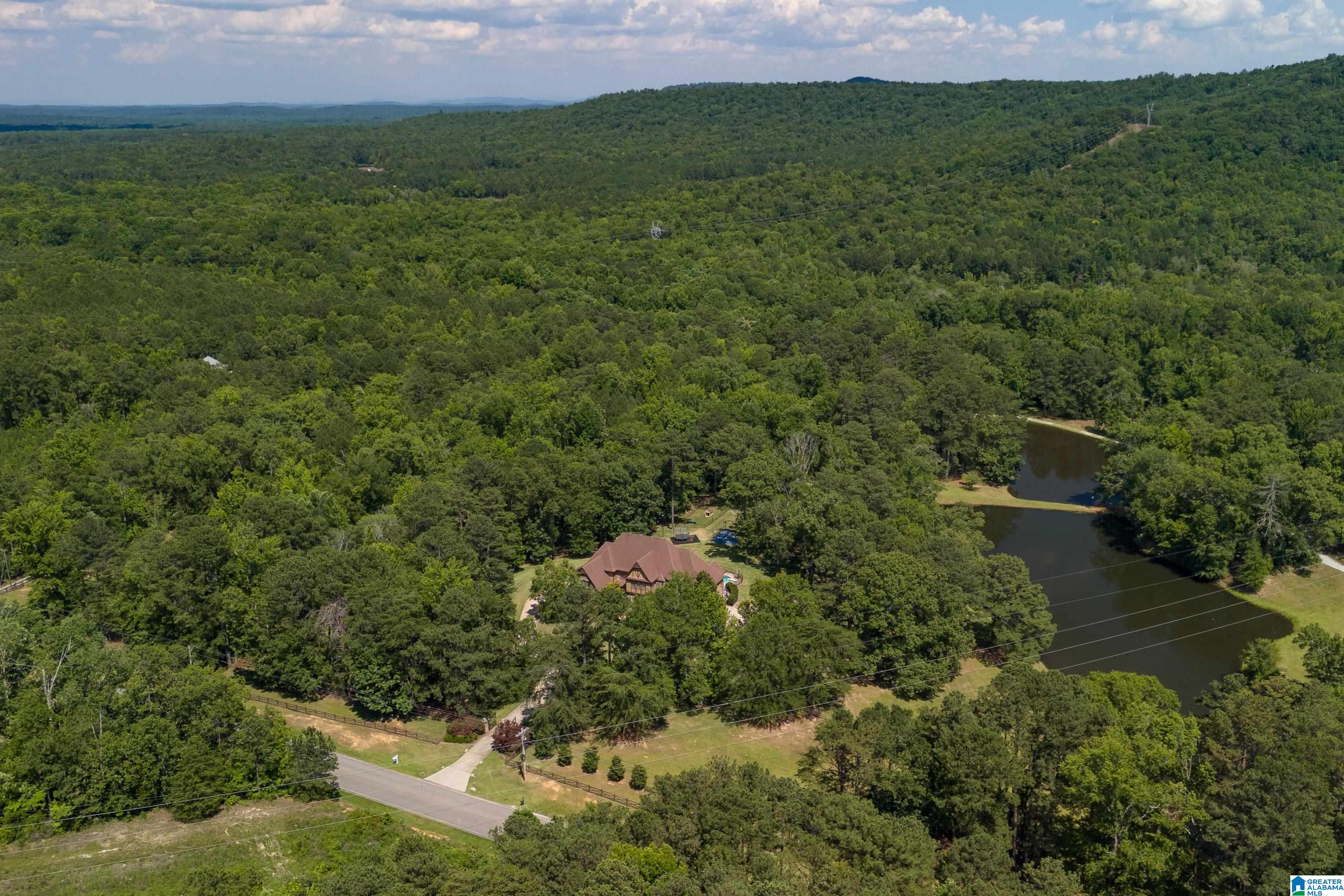9314 Bear Creek Road Sterrett, AL 35147 - Photo 97 of 100