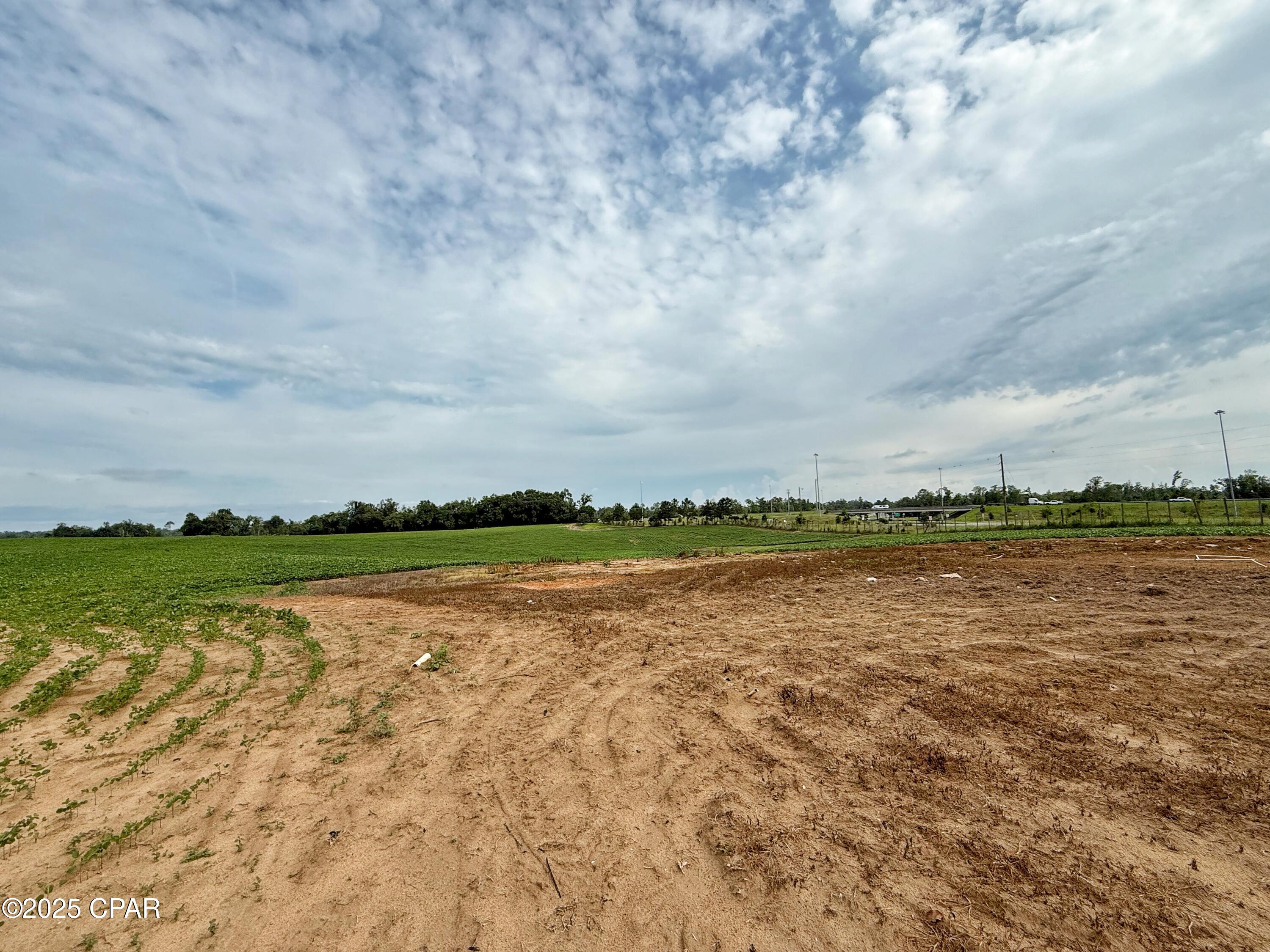 Hwy Hwy 69th Grand Ridge Grand Ridge, FL 32442 - Photo 3 of 5