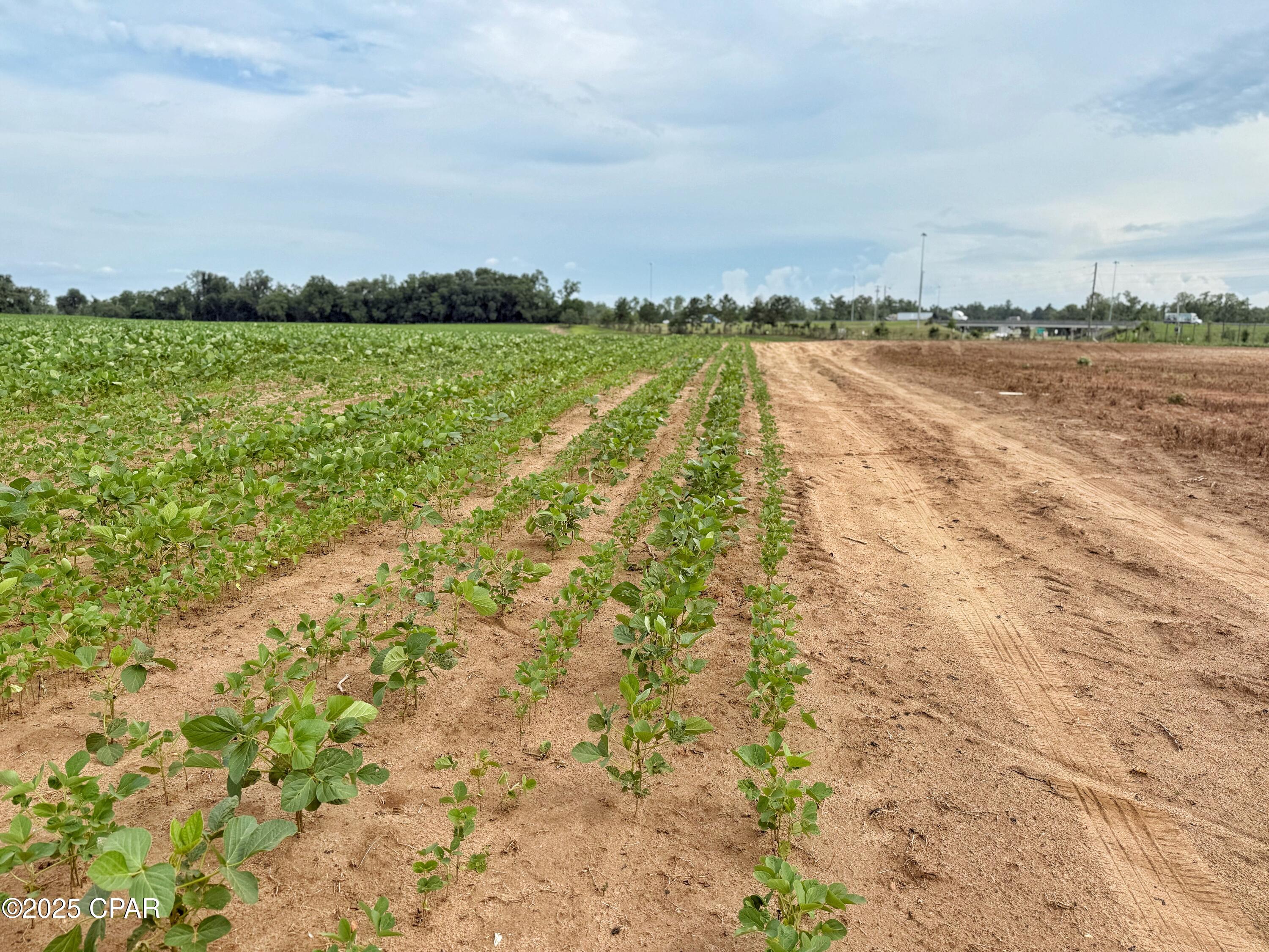 Hwy Hwy 69th Grand Ridge Grand Ridge, FL 32442 - Photo 4 of 5