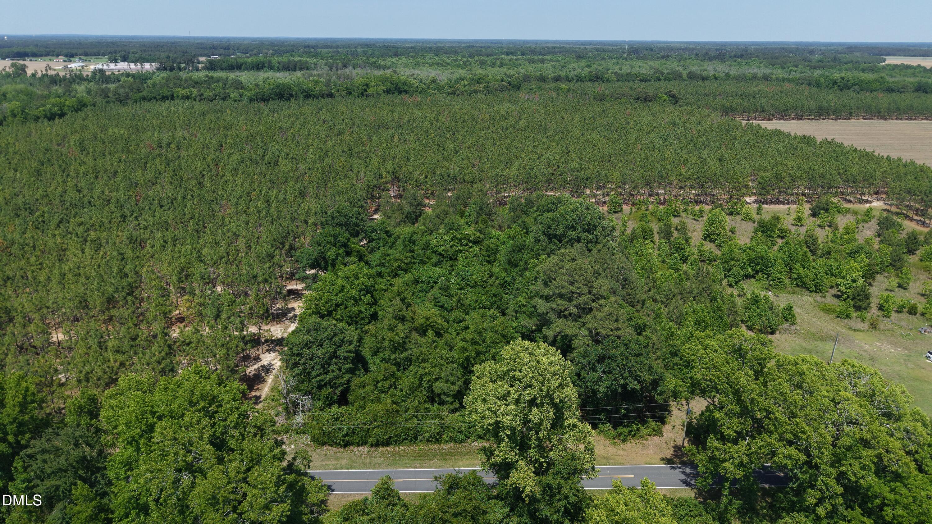 401 Johnson Pond Road Red Springs, NC 28377 - Photo 15 of 22 Aerial North Parcel SW POV
