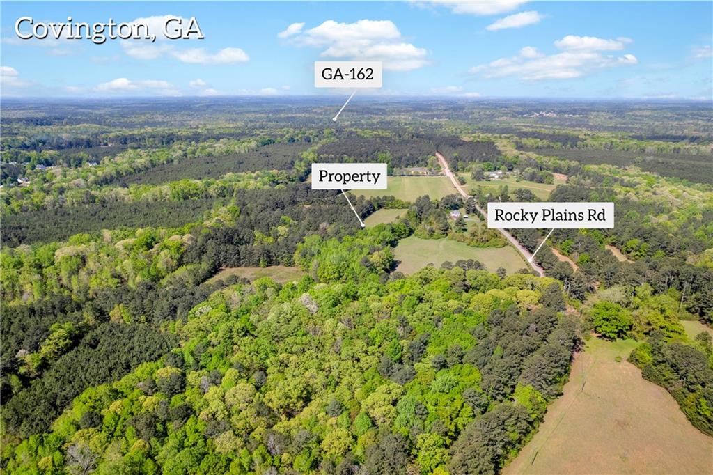 1025 Rocky Plains Road Covington, GA 30016 - Photo 4 of 17