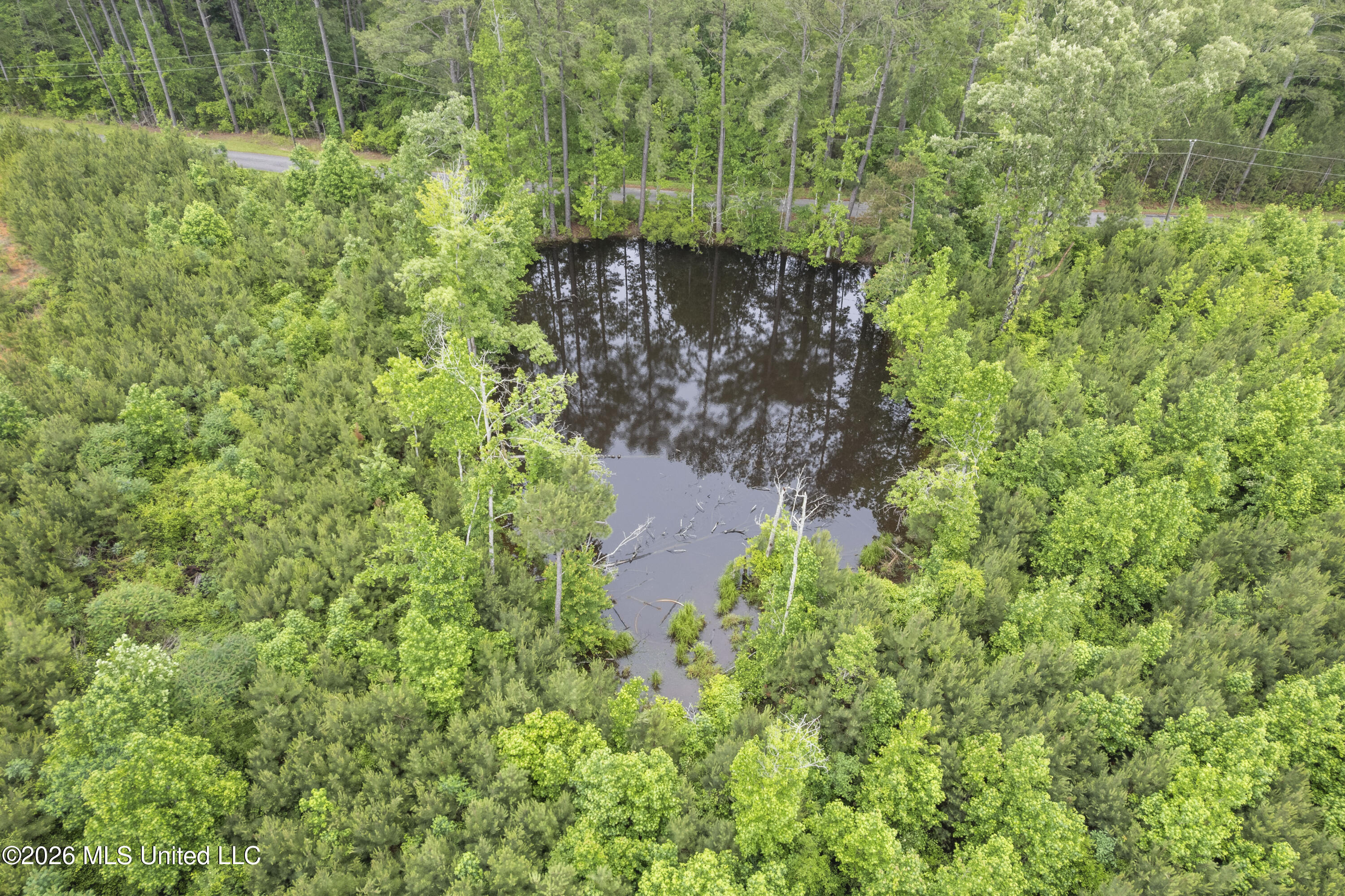 13 Co Road Louin, MS 39338 - Photo 23 of 29 DJI_0245