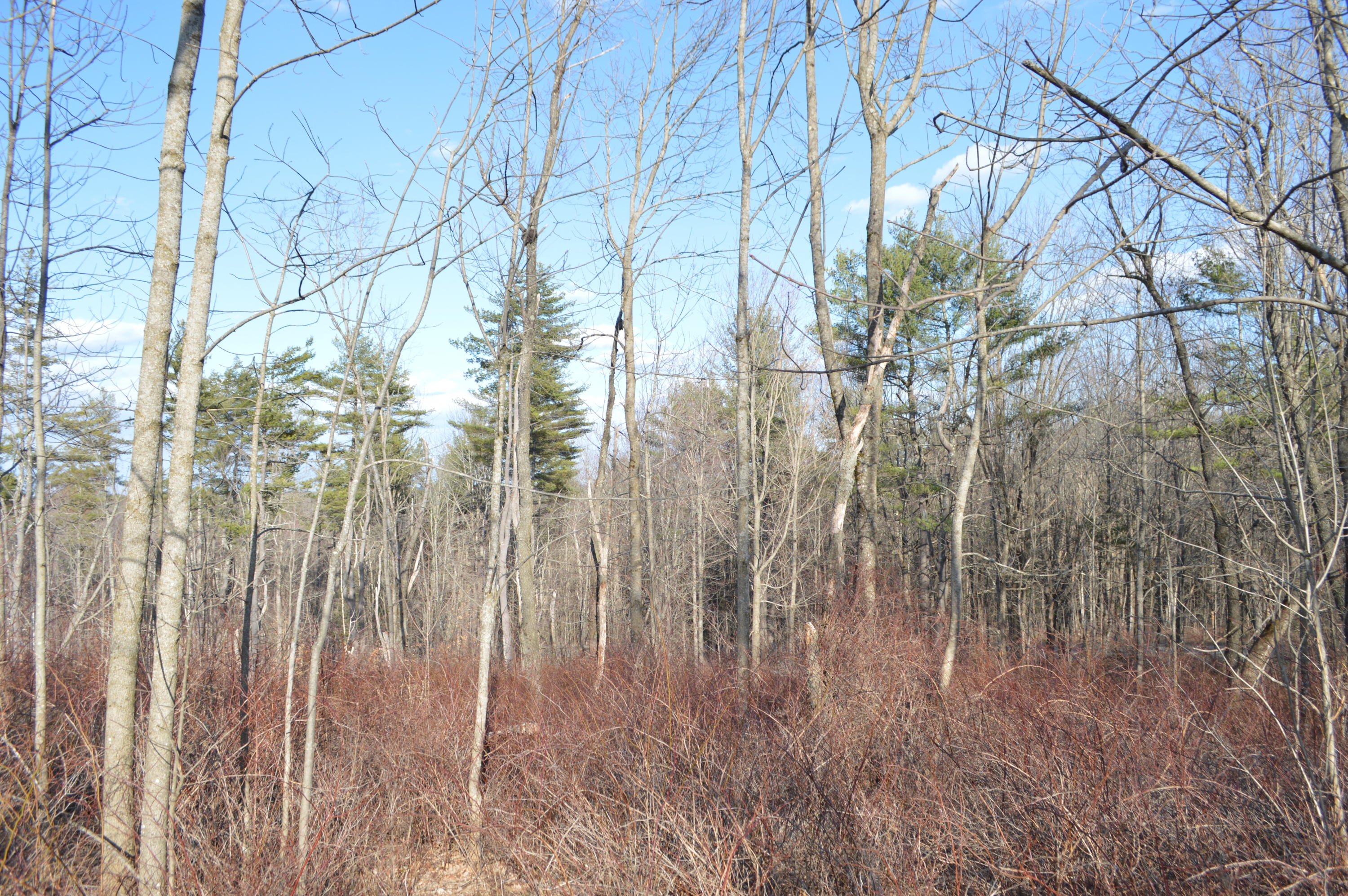 524 Belgrade Road Mount Vernon, ME 04352 - Photo 24 of 31 DSC_0063