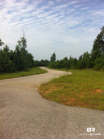 0 Ridgefield Lane Brewton, AL 36426 - Photo 2 of 5