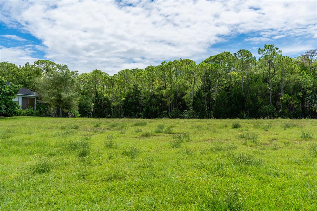 4050 Jewfish Drive Spring Hill, FL 34607 - Photo 12 of 37