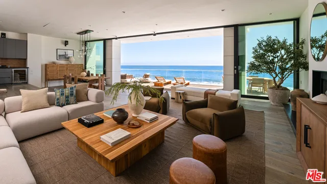 a living room with furniture potted plant and a large window