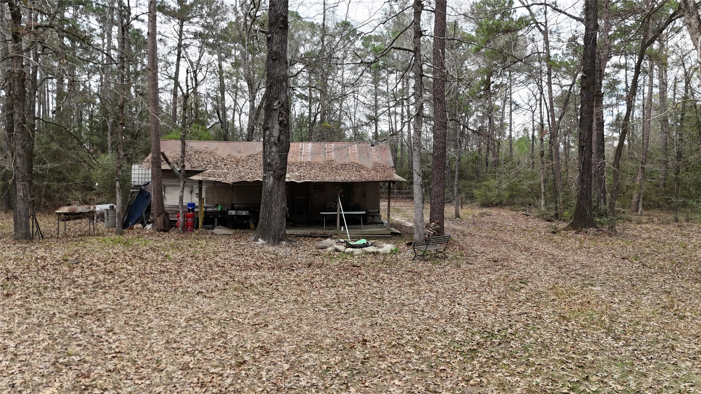 Tbd Eureka Corrigan, TX 75939 - Photo 14 of 23 a view of a house with backyard and trees