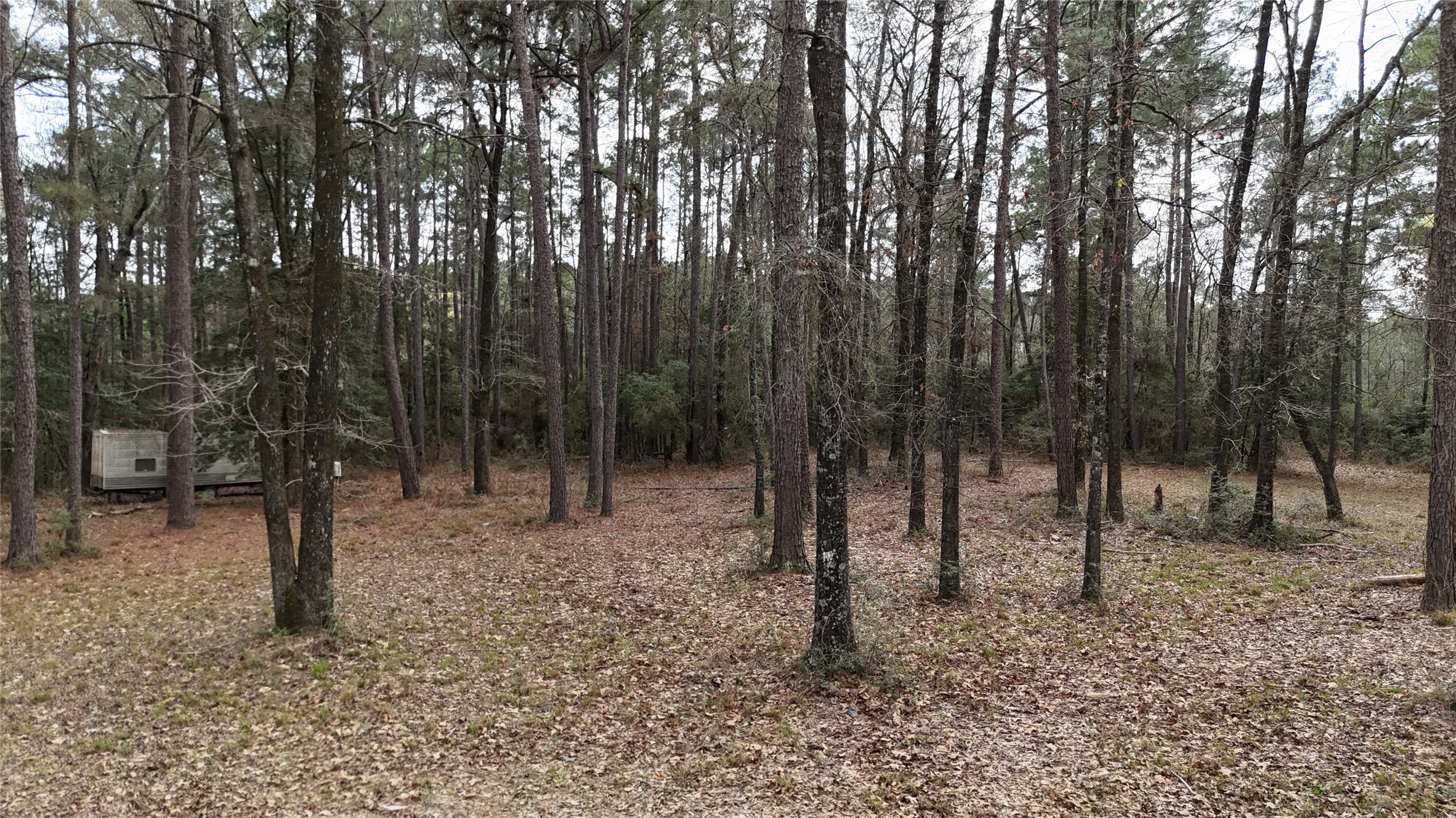 Tbd Eureka Corrigan, TX 75939 - Photo 15 of 23 a view of outdoor space with lots of trees