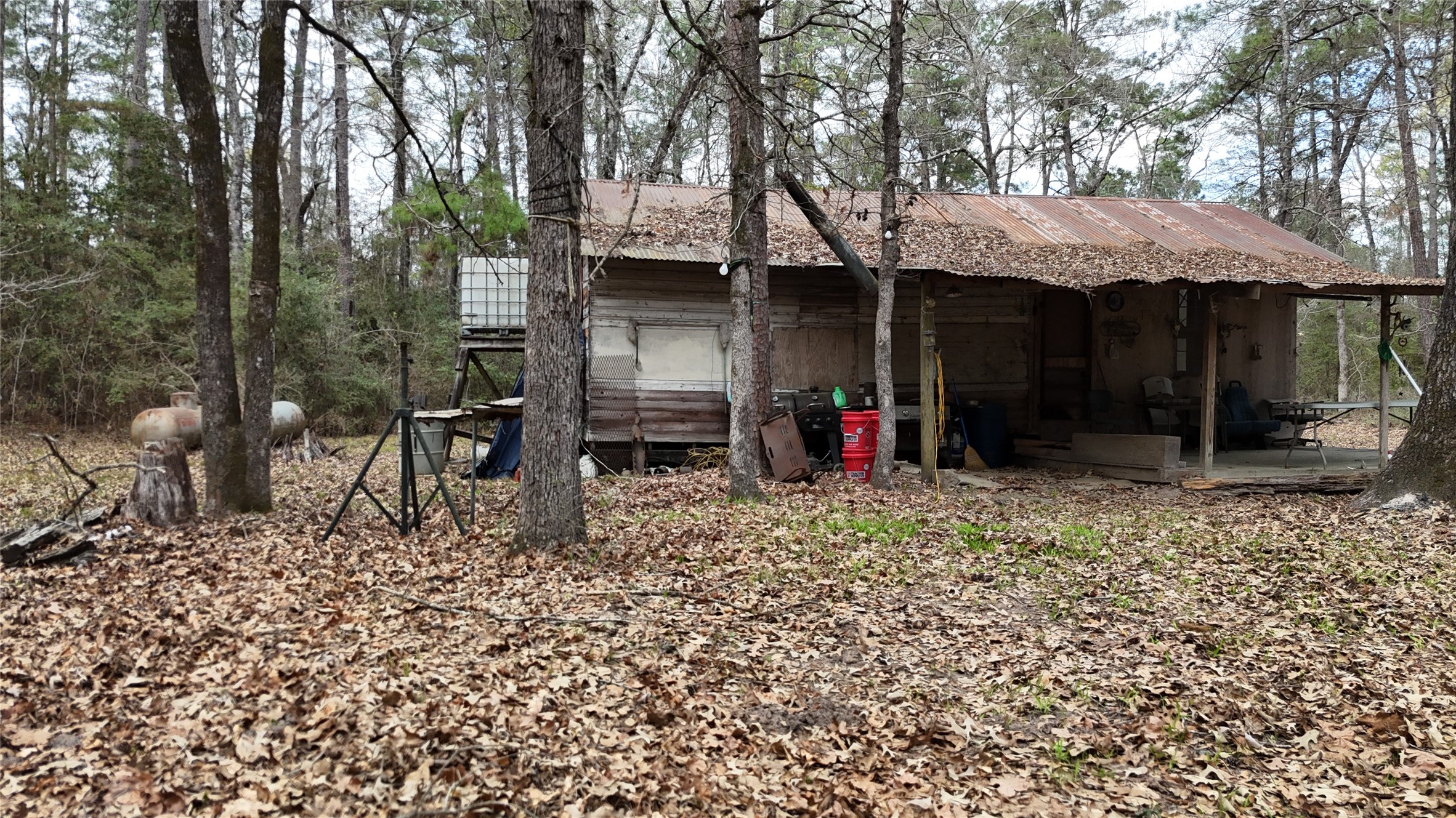 Tbd Eureka Corrigan, TX 75939 - Photo 16 of 23 a view of a barn with a small yard and large trees
