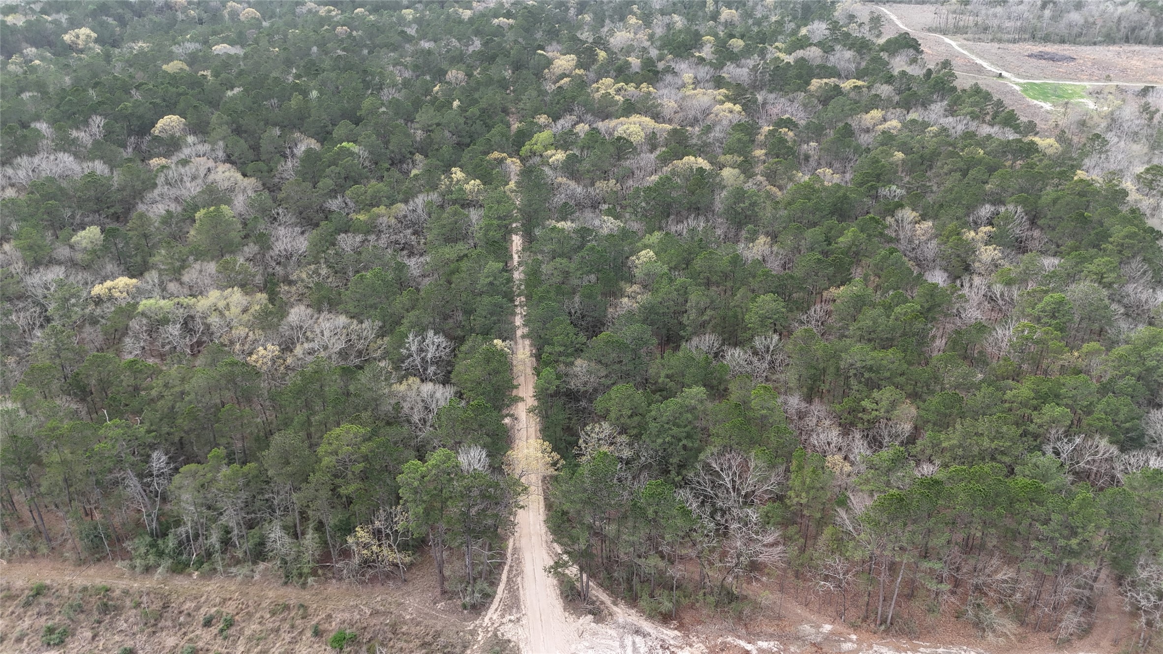 Tbd Eureka Corrigan, TX 75939 - Photo 2 of 23 a view of a forest with a tree