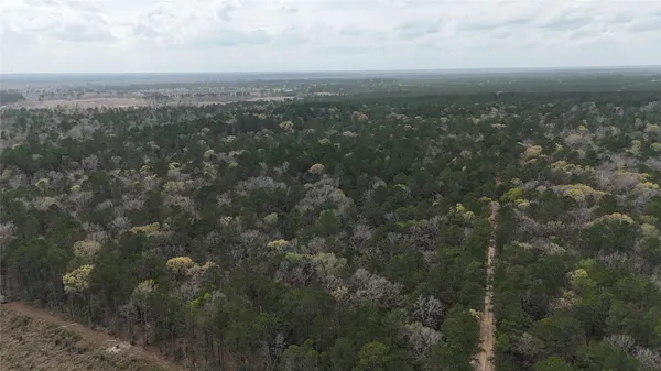 a view of city and green space