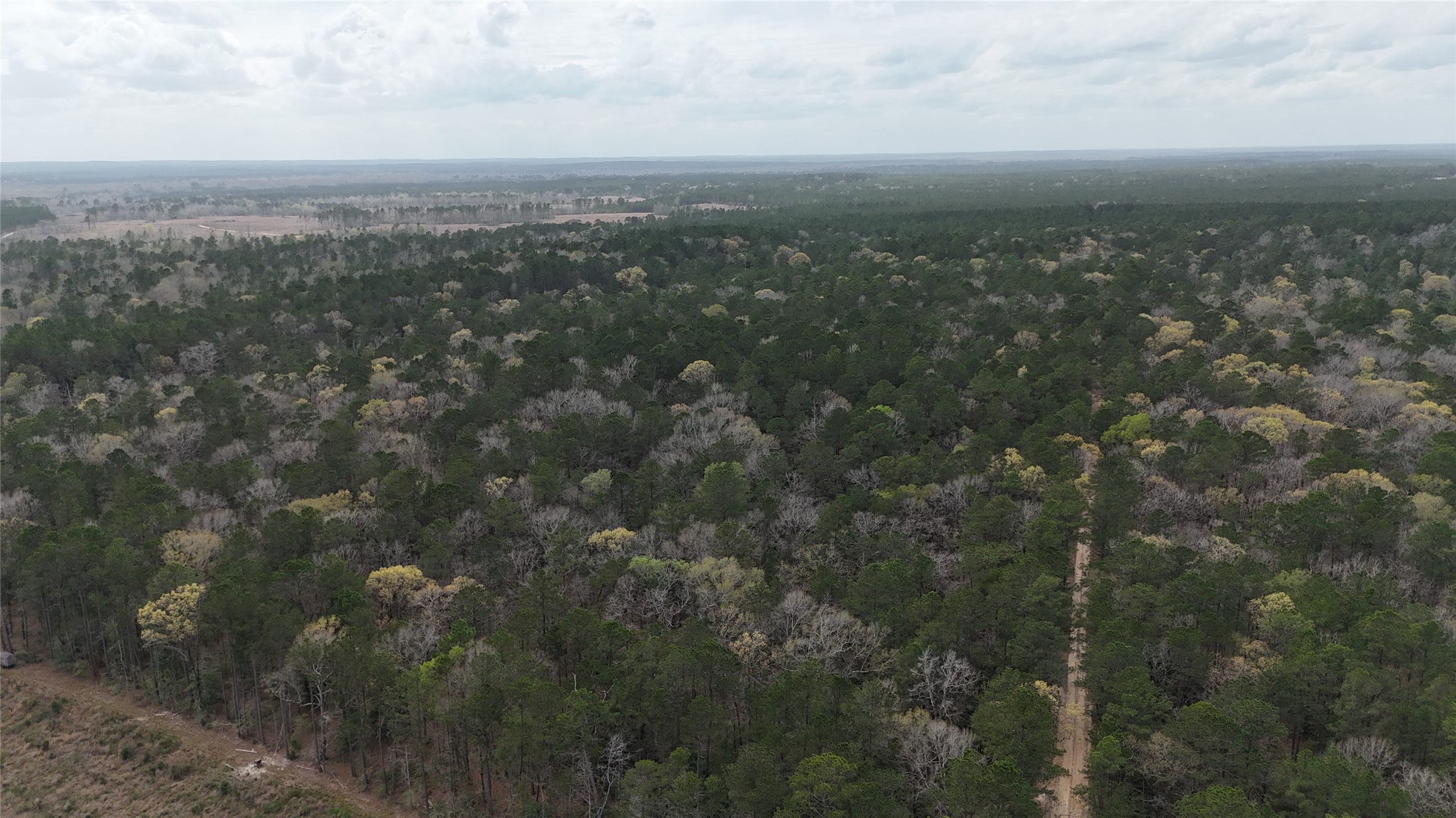 Tbd Eureka Corrigan, TX 75939 - Photo 3 of 23 a view of city and green space