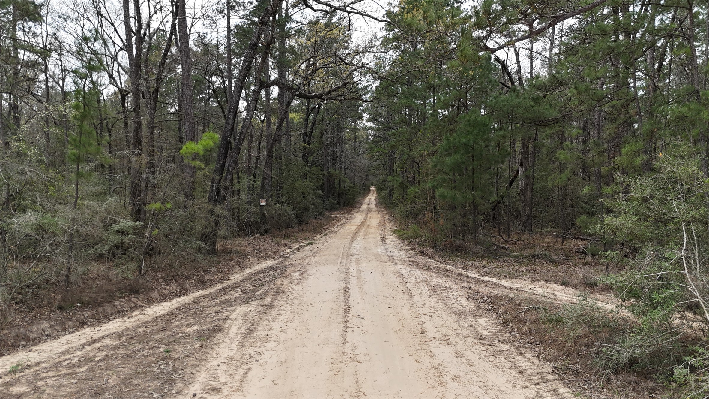 Tbd Eureka Corrigan, TX 75939 - Photo 4 of 23 a view of outdoor space with trees