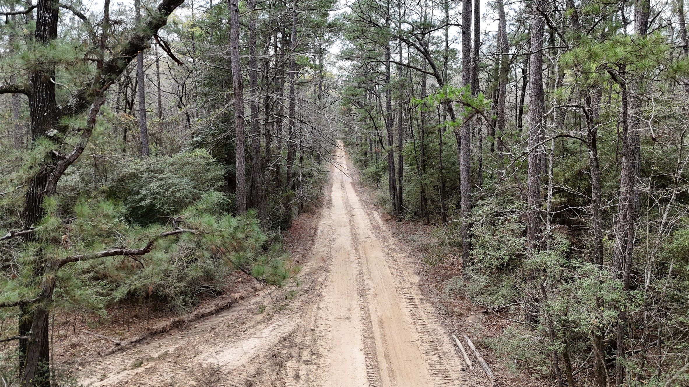 Tbd Eureka Corrigan, TX 75939 - Photo 6 of 23 a view of street with trees