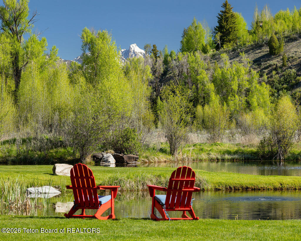 185 Swan Road Jackson, WY 83001 - Photo 44 of 48 Back Yard