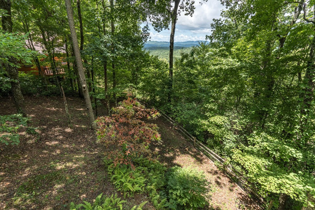 425 Boyd Ridge Drive Murphy, NC 28906 - Photo 30 of 41
