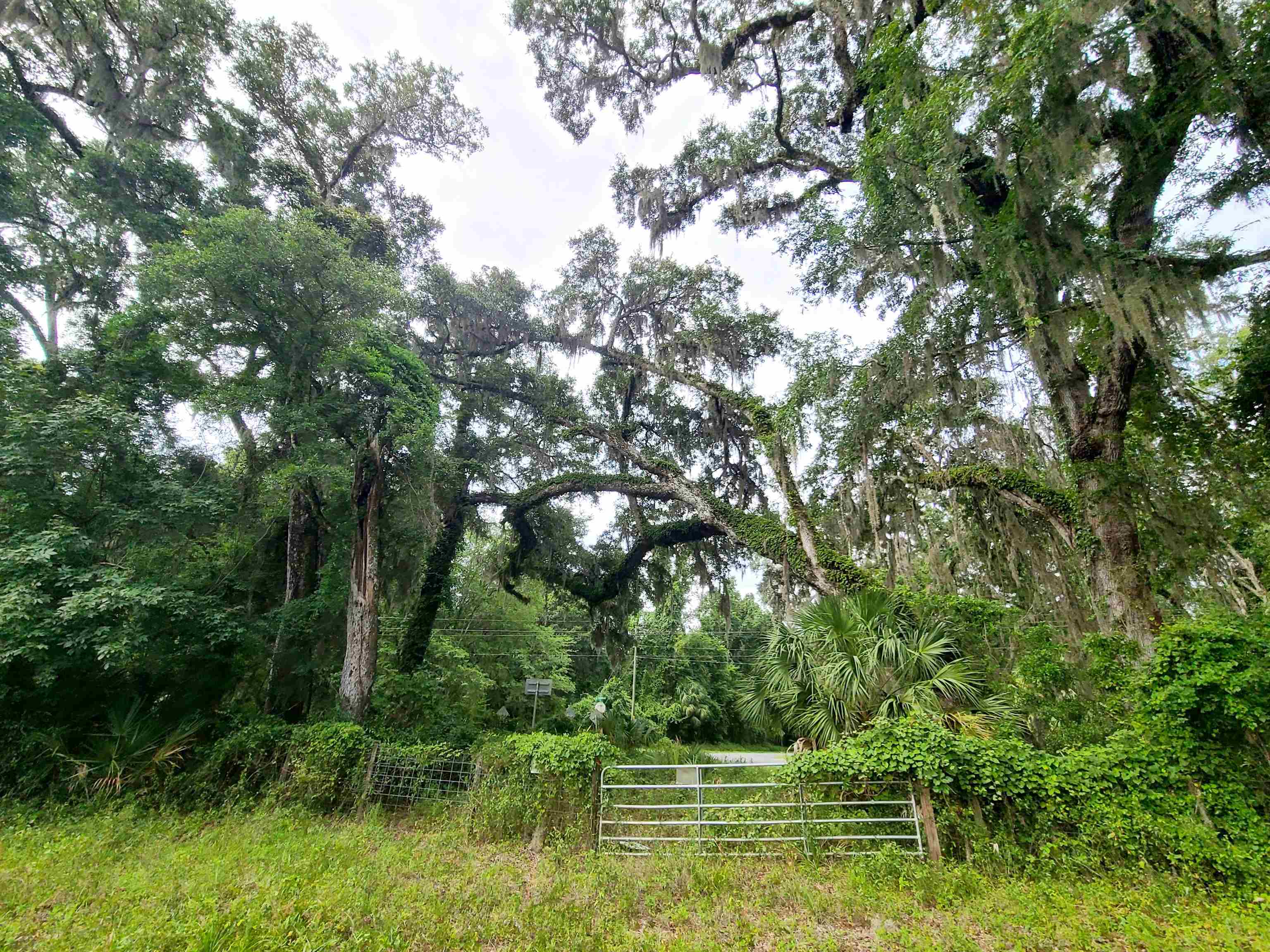 42 41-acres Northeast 247th Ave