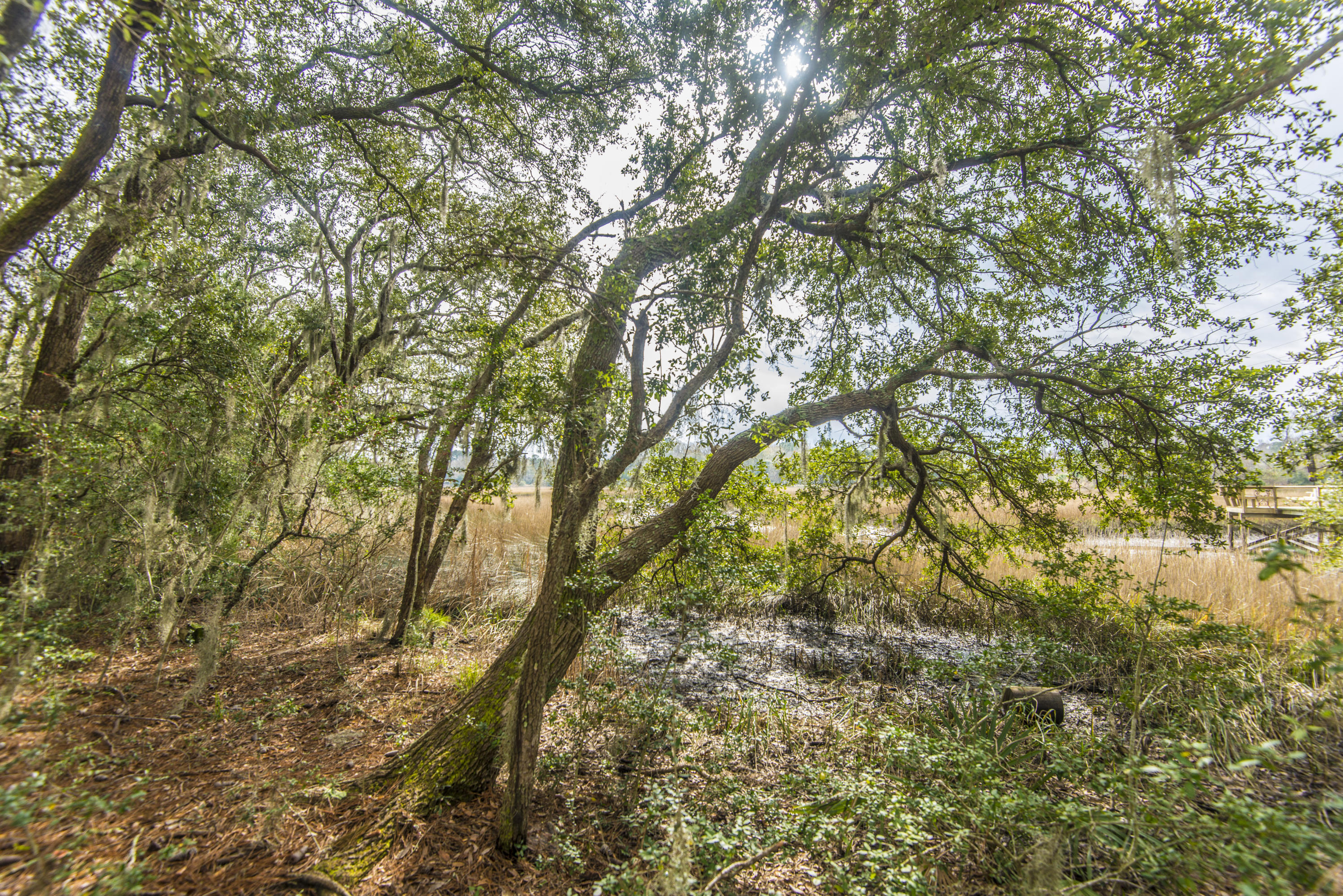 594 River Road Johns Island, SC 29455 - Photo 29 of 35 _DSC7384