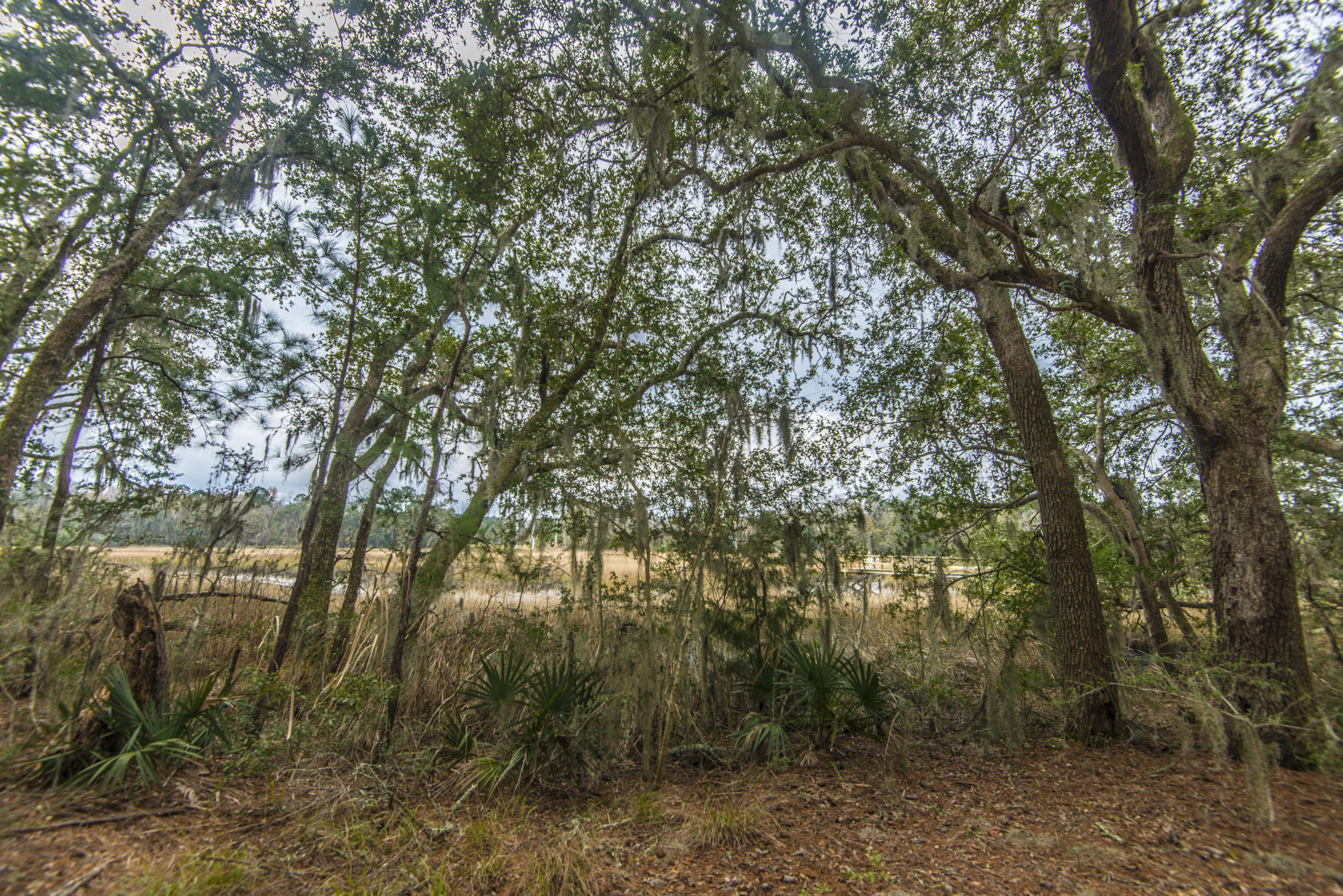 594 River Road Johns Island, SC 29455 - Photo 30 of 35 _DSC7386