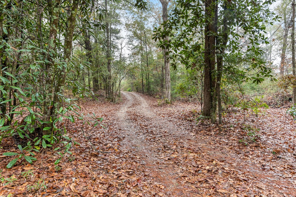 3134 Benton Store Road Columbia, AL 36319 - Photo 45 of 62