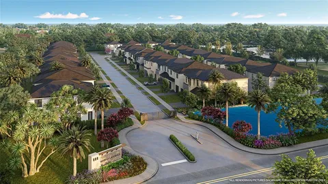 a view of a street with a palm tree