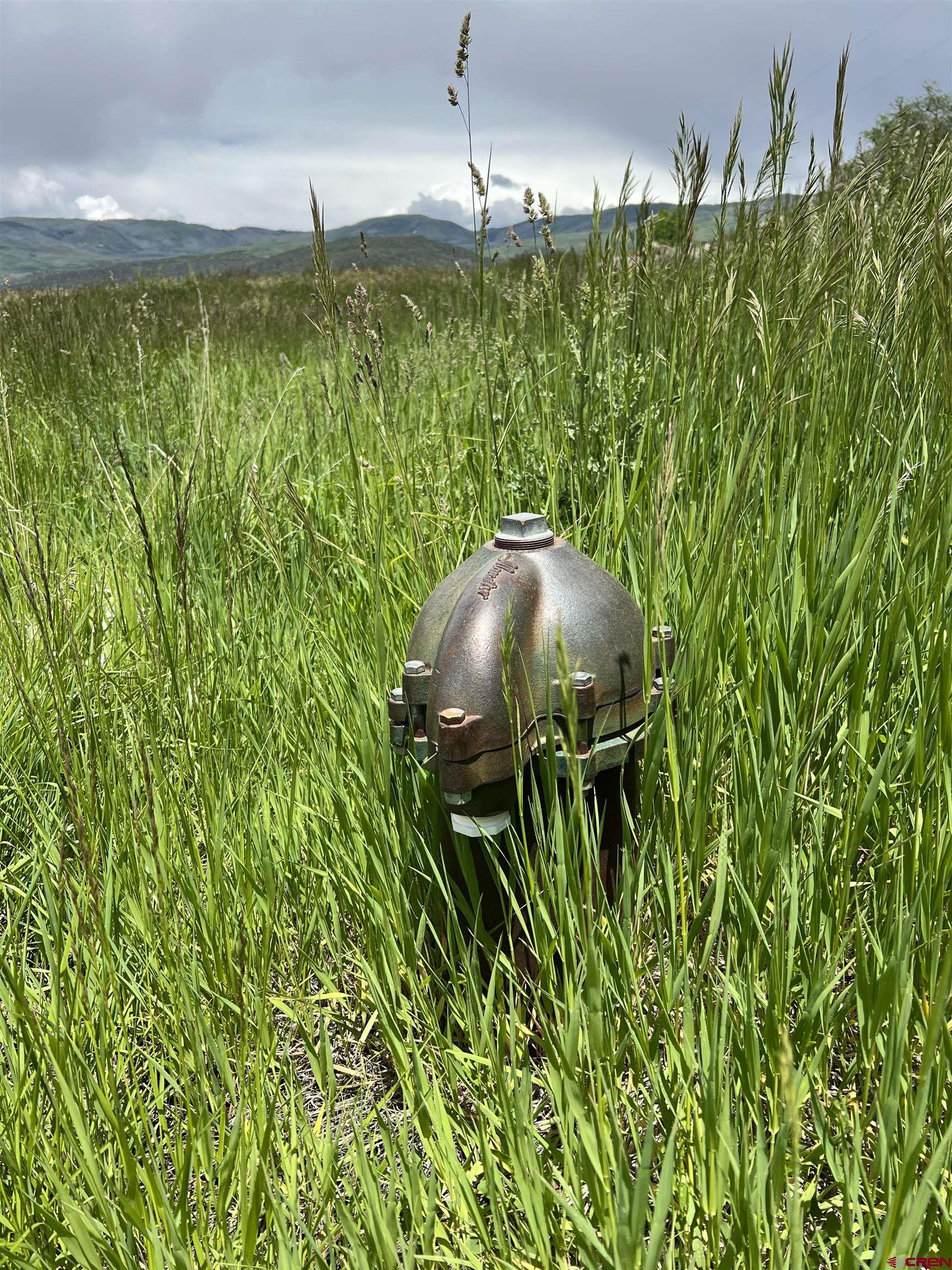 65 Highway 65 Cedaredge, CO 81413 - Photo 2 of 15 a backyard of a house with lots of green space and a fountain
