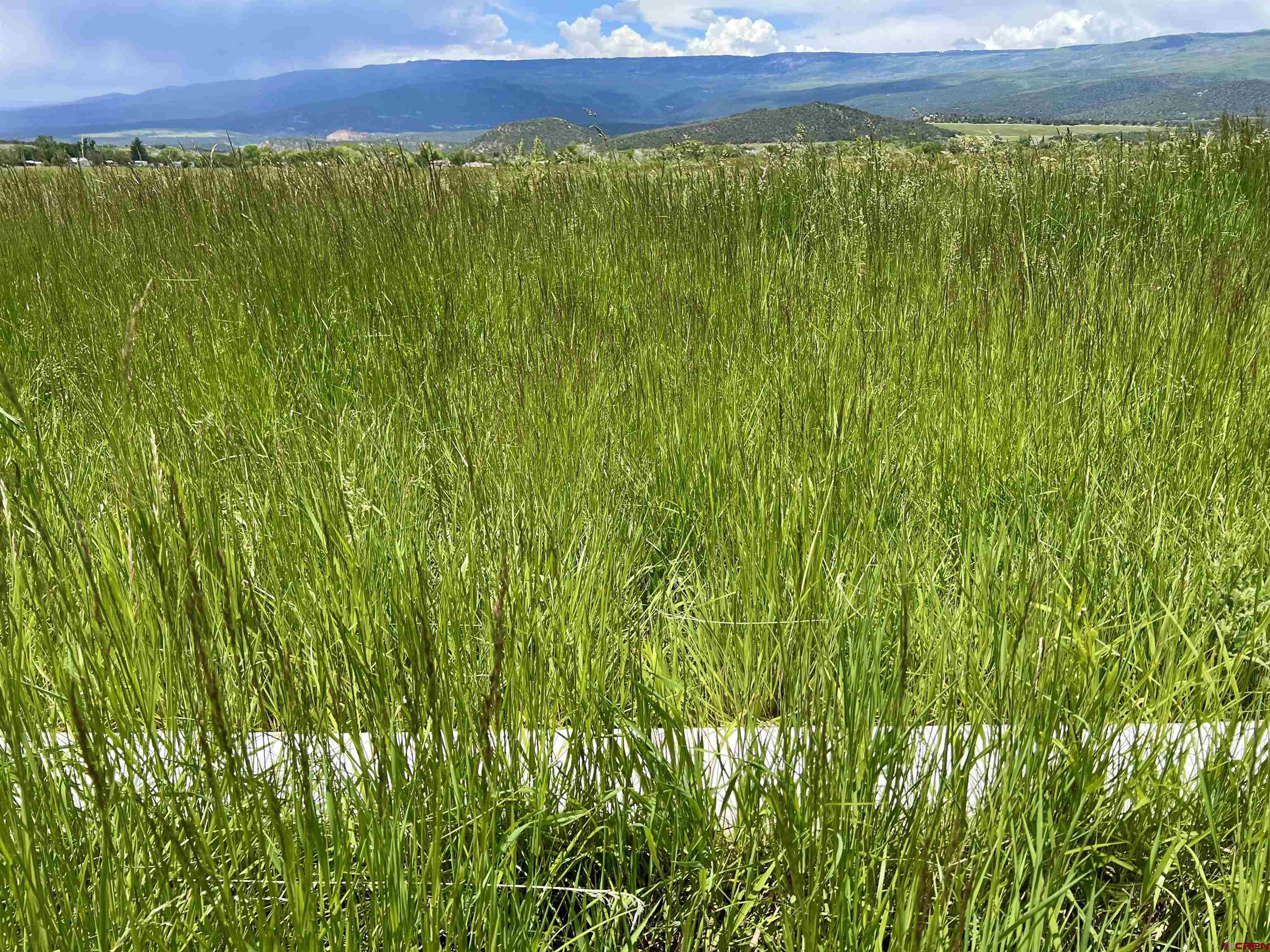 65 Highway 65 Cedaredge, CO 81413 - Photo 3 of 15 a view of an outdoor space and a yard